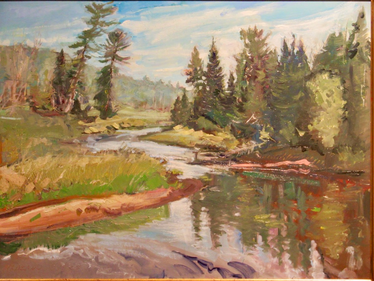 Saranac River from Moose Pond